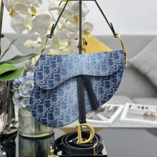 Christian Dior Saddle Bags